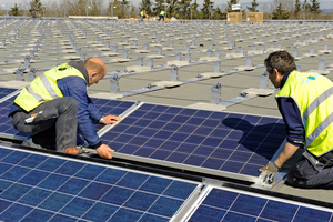  Alle Module können in einem Arbeitsgang auf die Stützen aufgelegt werden Foto: IBC Solar 