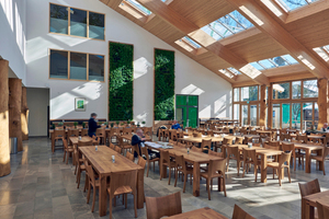  Das Modulare Oberlicht-System bringt ein Maximum an Helligkeit, wie man sie ansonsten nur in gläsernen Orangerien oder Gewächshäusern findet Foto: Velux  