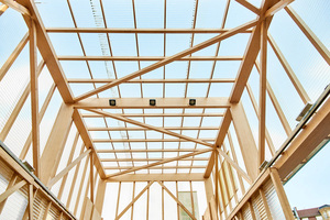  Das Fachwerk besteht aus miteinander verschraubten Buche-Furnierschichtholzbalken 