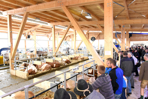  Der Kuhstall war der Besuchermagnet auf dem Bayerischen Zentral-Landwirtschaftsfest 