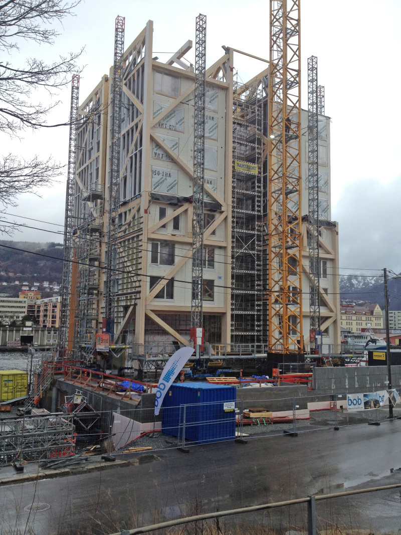 Treet Ein (Hoch)Haus wie ein Baum Bauhandwerk