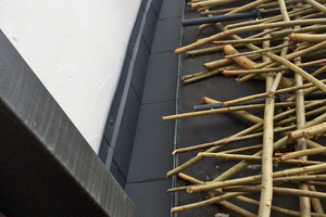  Das Weidengeflecht schlingt sich um Rundstäbe aus Metall, die wiederum von den Flanschen am Dach aufgenommen werden Foto: Carlisle  