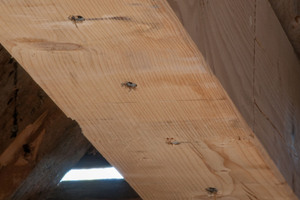  Die Aufdoppelung erfolgte von unten, einreihig in Parallelverschraubung. Die TOPIX-CC-Schraube ist dank ihres Zylinderkopfes im Holz versenkt. Handelt es sich um Sichtbalken, werden die Montagepunkte mit Holzzapfen abgedeckt 