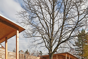  Die großzügig verglaste Südfassade des langgestreckten Gebäudes lässt viel Sonne in die Räume und integriert den Außenbereich. Umlaufende Spielterrassen mit Naturholz-Terrassendielen sind um eine alte, schützenswerte Kastanie gruppiert 