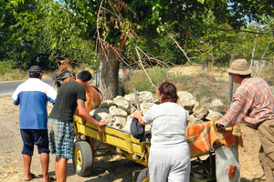  Materialbeschaffung auf Bulgarisch: Der Lehm ist umsonst, das Fuhrwerk günstig und alle helfen mit 