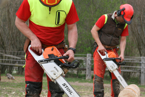  Motorsägen-Profikurs-Blockhausbau-Haunetal-Konrad-Gallei.JPG 