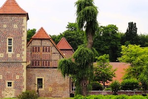  Burg Hülshoff wurde 2016 saniert, dabei verwendete man einen Hohlfalzziegel, der mit dem Denkmalschutz vereinbar war Foto: Nelskamp 