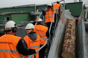  Furniersperrholzproduktion mit Metsä-Wood-Werk in Lohja. Hier werden die Stämme zu den Verarbeitungszentren transportiert Foto: Rüdiger Sinn 