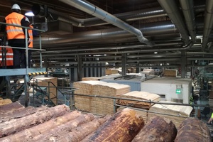 Furniersperrholzproduktion mit Metsä-Wood-Werk in Lohja: Die Stämme warten auf den Schälprozess Foto: Rüdiger Sinn 