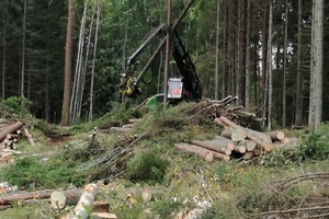  Ein "Harvester" beim Einsatz Foto: Rüdiger Sinn 