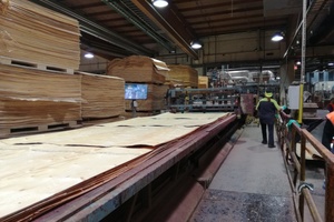  Furniersperrholzproduktion mit Metsä-Wood-Werk in Lohja: die Furnierschichten werden miteinander verleimt, heraus kommt Kerto-Furniersperrholz Foto: Rüdiger Sinn 