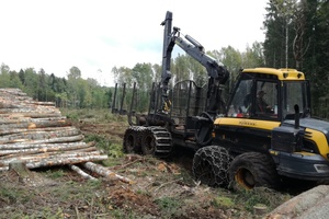  Ein sogenannter "Forwarder" transportiert die abgelängten Stämme und stapelt sie auf Foto: Rüdiger Sinn 