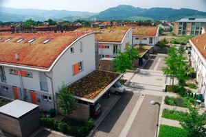  Eine begrünte Siedlung in Freiburg schafft ein lebenswertes Ambiente 