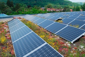  Links: Kombination mit Zukunft – durch den Einsatz von Dachbegrünungen erhöht sich die Leistung von Photovoltaik-Anlagen 