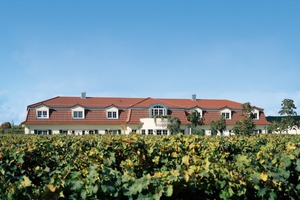  Neubau im Stil eines barocken Landguts: Weingut Baumann inmitten von Reben 