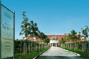  Château mitten in Rheinhessen, dem Land der 1000 Hügel. In der Weinbaugemeinde Albig bewirtschaften die Baumanns seit drei Generationen ihre Weinberge   Fotos: Creaton AG 