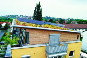 Rechts: Die Kombination von Grün und Solar lohnt sich auch auf kleinen Dächern und ist selbst bis zu einem Neigungswinkel von etwa 10 Grad problemlos realisierbar 