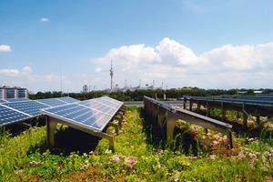  Dank des Kühleffektes einer Dachbegrünung erhöht sich die Leistung der PV-Module um etwa vier Prozent 