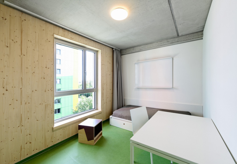 Wohnen zwischen Holz und Beton - bauhandwerk