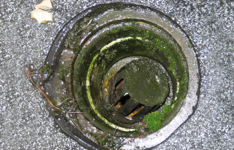 Karina Kox erotik rasmlar