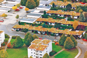  Beispiel für eine extensive Begrünung in einer Wohnsiedlung in Wolfsburg Foto: DUD e. V. und Mitgliedsunternehmen 