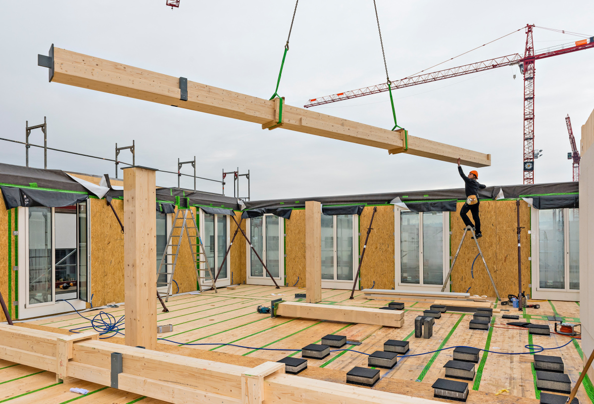 Zellulose Statt Mineralwolle Dach Holzbau