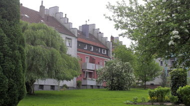 Unsanierte Dächer des gemeinnützigen Wohnungsvereins zu Bochum. Jedes Jahr sollen 1300 m2 mehr Dachfläche zur Luftreinigung dazukommen Foto: Nelskamp