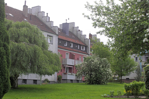  Unsanierte Dächer des gemeinnützigen Wohnungsvereins zu Bochum. Jedes Jahr sollen 1300 m2 mehr Dachfläche zur Luftreinigung dazukommen Foto: Nelskamp 