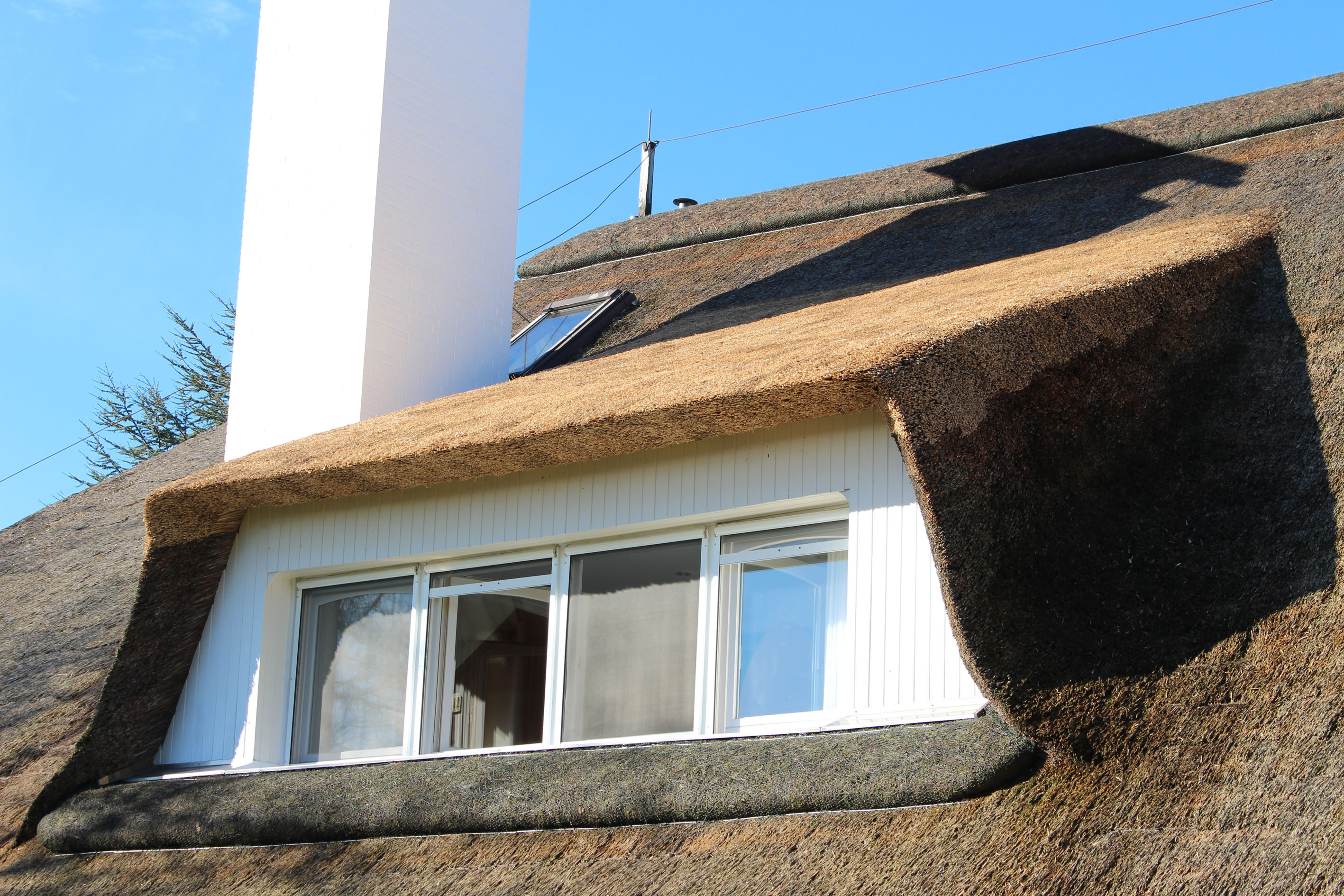 neues-reet-f-rs-alte-dach-dach-holzbau