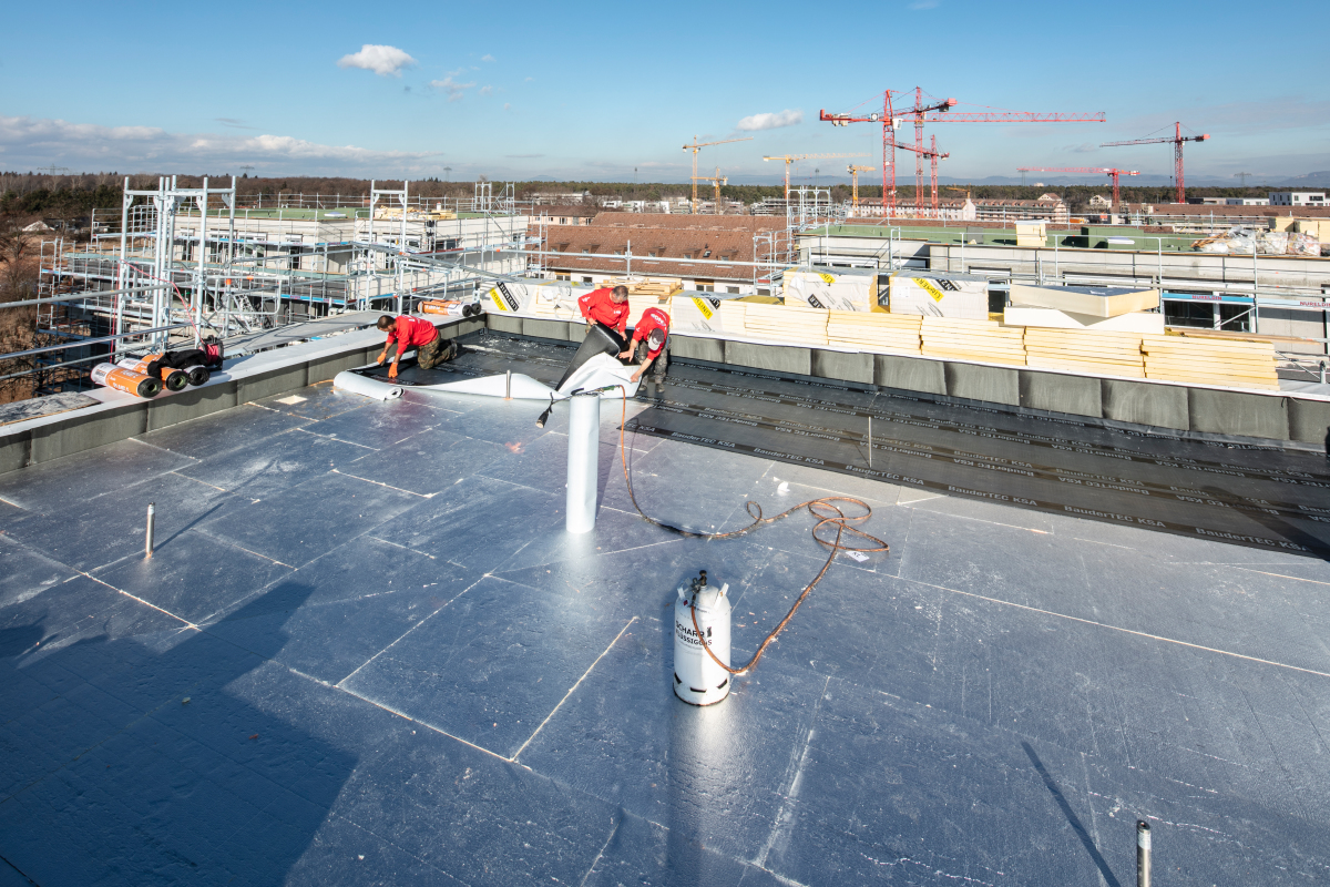 Gefälledämmung für sechs Wohnhäuser - dach+holzbau