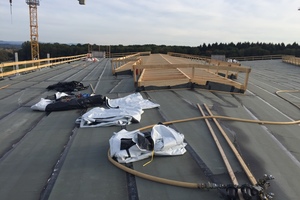  Die Konstruktion der Lichtbänder auf dem Dach waren auch Teil der Zimmererleistung, das Glasdach selbst wurde von Metallbaubetrieb Trumpf in Karlsruhe gefertigt Foto: Holzbau Amann 