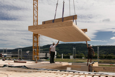 Die Dachbauteile mit Raumakustik-Oberfl?che ?berbr?cken bei Bedarf auch gro?e Spannweiten und zeigen im „Rohbau“ bereits die endfertige Untersicht Foto: Lignotrend