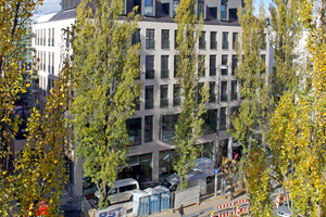  Leopoldstraße 53_ASD_Betondach.jpg 