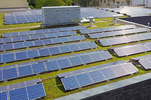  Aufgeständerte Photovoltaikmodule lassen sich ideal mit einer Dachbegrünung kombinieren, doppelt gut: durch sauber erzeugten Strom und durch mehr Lebensraum für Vögel und Insekten Foto: DUD e.V. und MItgliedsunternehmen 