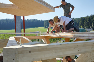  Schwarzwälder Baumhaus dach holzbau Montage 4 