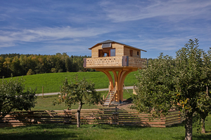  Schwarzwälder Baumhaus dach holzbau fertig 