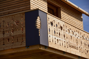  Schwarzwälder Baumhaus dach holzbau Balkondetails 