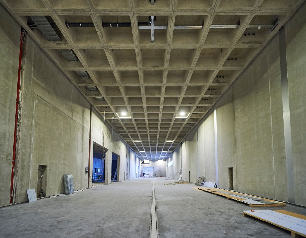 Neubau mit Gründach für ein Weingut - dach+holzbau