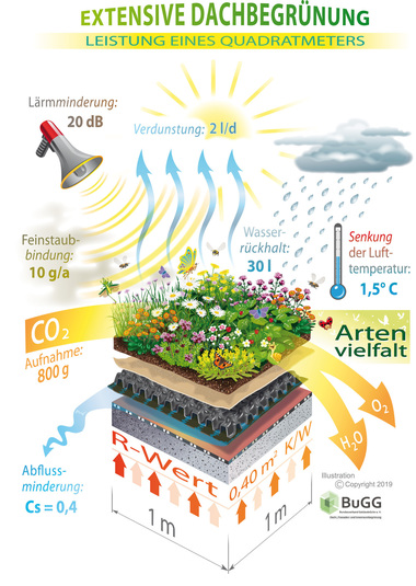 1_BuGG_Quadratmeter_Gruendach_10-2019_print.jpg