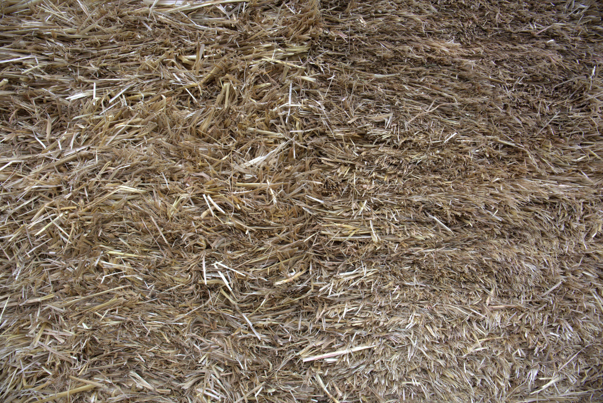 Strohballenbau Auf Schraubfundamenten Dach Holzbau