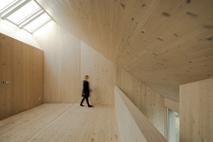  velux_aw20_3_haus_muehlhaeuser_63-DG_Foto_Martin_Duckek.jpg 