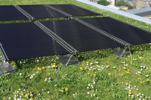  Die leuchtstoffröhrenförmigen Solarmodule der Tube Solar AG auf einem Gründach. Durch die Zwischenräume der Solarmodule kann Wasser und Lichtstrahlung zur darunter liegenden Vegetation durchdringen. Zudem bieten die leichten Module Statikvorteile und eine deutlich geringere Wind-Angriffsfläche 