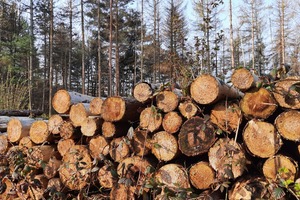  Wälder sollen eine große Menge an nutzbarem Holz produzieren, andererseits aber auch dem Schutz der Umwelt dienen&nbsp; &nbsp; &nbsp; &nbsp; &nbsp; &nbsp;&nbsp;  