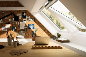  velux_duo_146555-02.jpg 