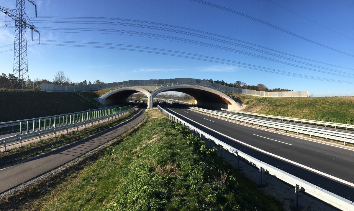 Wildbrücke aus Holz - dach holzbau