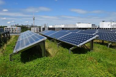 Abb-2_BuGG_Solar-Gruendach-1_Foto_BuGG.JPG