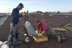  9_20191108_144123_Sandlinsen_bauen_aus_Holzumrandungen__die_mit_Sand_befuellt_werden_Foto_Zinco.jpg 