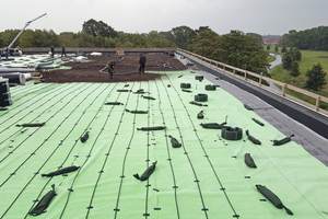  

Das Substrat für die Dachbegrünung wird auf der Dachfläche verteilt. Die Tropfschläuche dienen zur späteren Bewässerung 