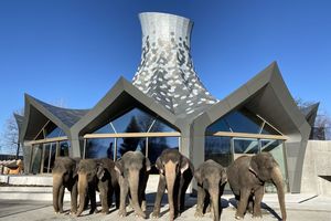  Knies Zauberhut übernimmt eine identitätsstiftende Rolle in dem wieder eröffneten Kinderzoo. Er soll nach der Coronazeit für Zirkusvorführungen und als Eventlocation genutzt werdenFoto: Knies Kinderzoo 