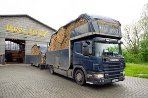  Reetbunde auf einem Lkw von Hiss Reet vor der Lagerhalle des Reetfachhändlers in Bad Oldesloe  